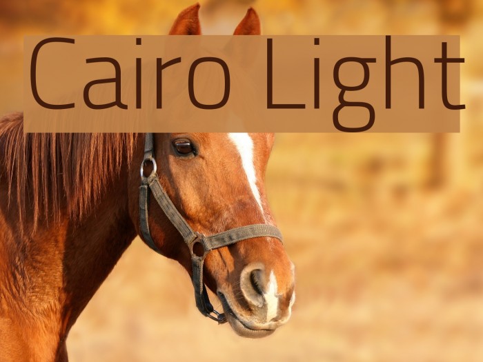Cairo Light Font examples