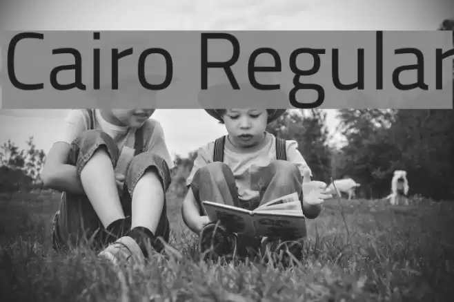 Cairo Regular Font examples
