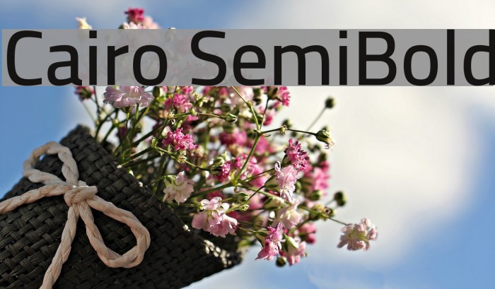Cairo SemiBold Font examples