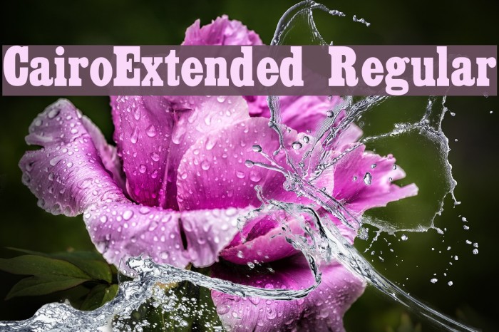 CairoExtended Regular Font examples