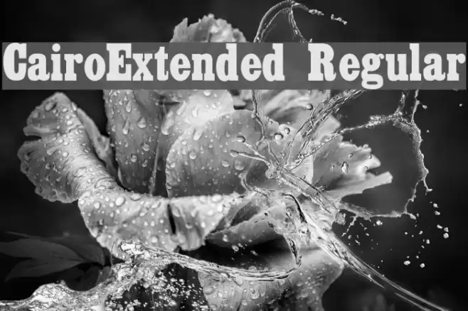CairoExtended Regular Schriftart examples