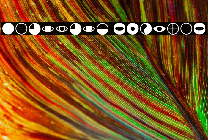 Cait_sith Regular Example 3