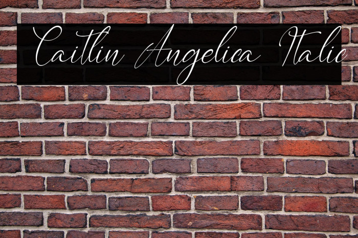 Caitlin Angelica Italic Example 1