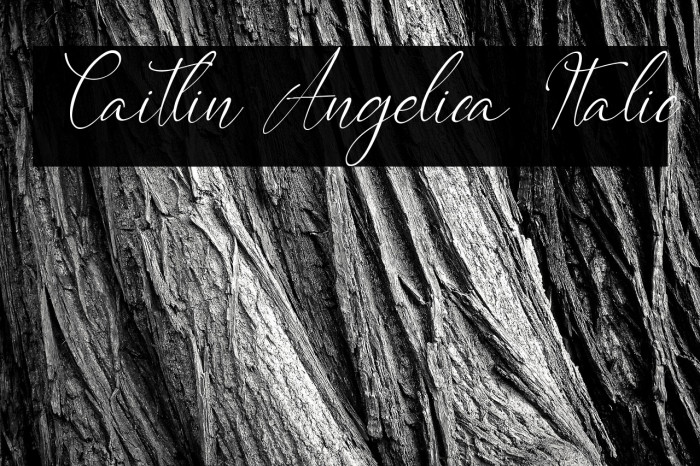 Caitlin Angelica Italic Example 2