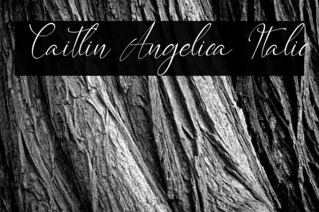 Caitlin Angelica Italic Font examples