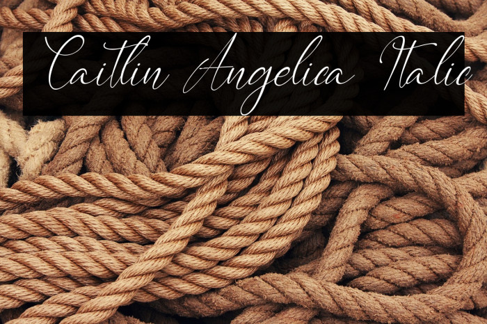 Caitlin Angelica Italic Example 3