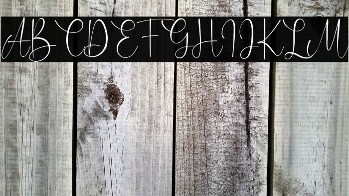 Caitlin Angelica Example 2