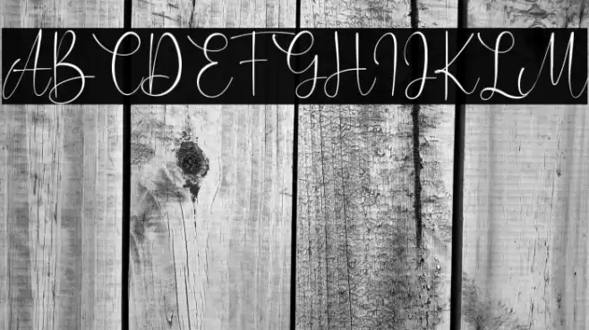 Caitlin Angelica Font examples