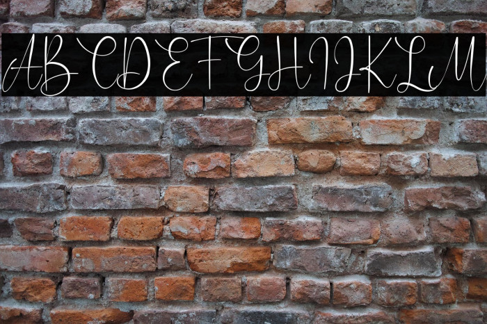 Caitlin Angelica Example 3