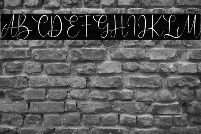 Caitlin Angelica Font examples