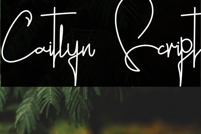 Caitlyn Script Example 3