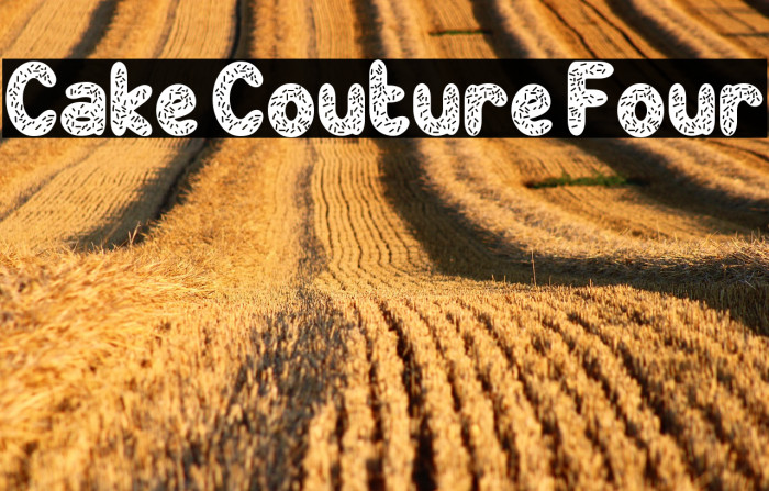 Cake Couture Four Caratteri examples