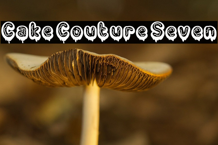 Cake Couture Seven Caratteri examples