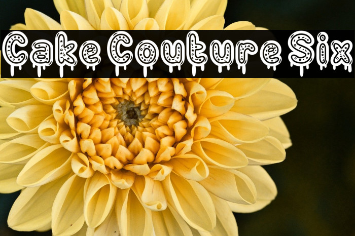 Cake Couture Six Fonte examples