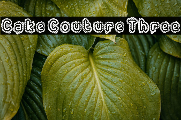 Cake Couture Three Шрифта examples