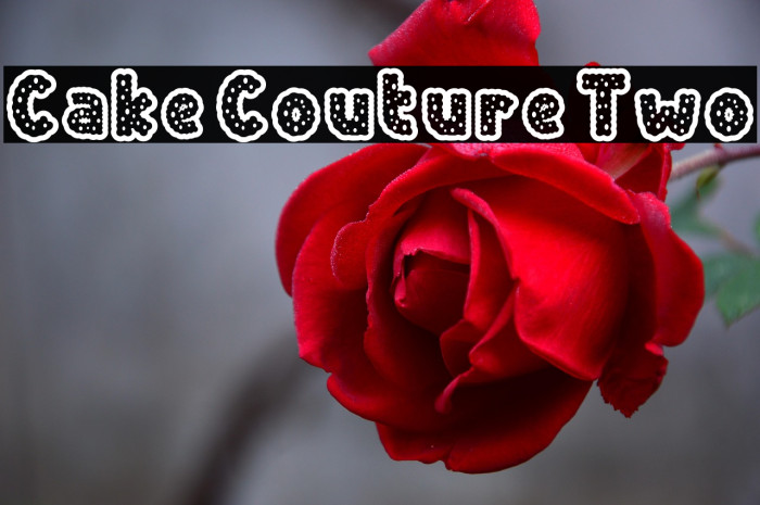 Cake Couture Two Font examples