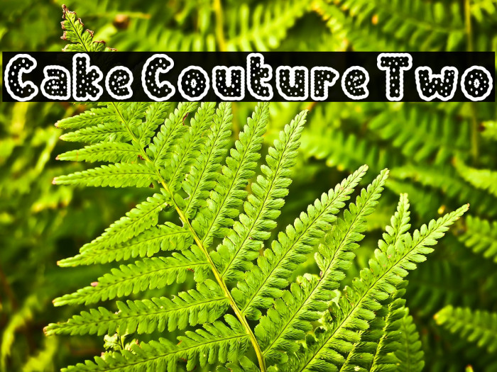 Cake Couture Two Font examples