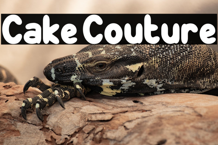 Cake Couture Font examples