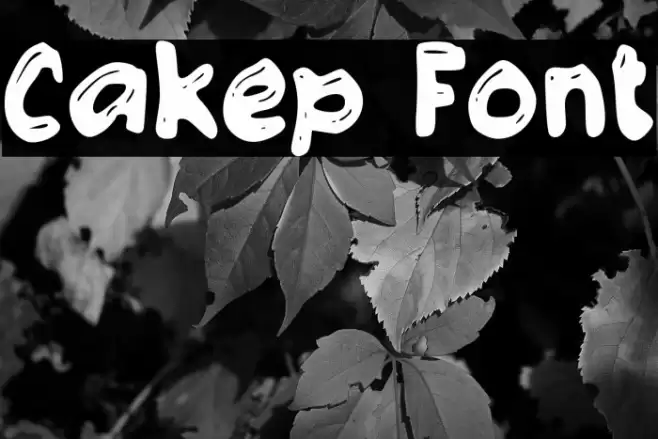 Cakep Polices examples