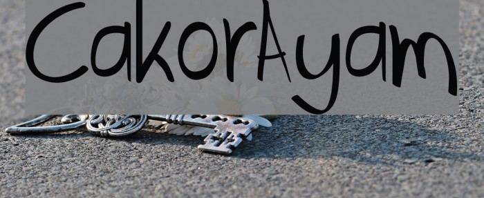 CakorAyam Font examples