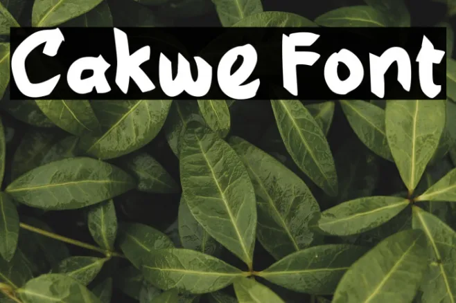 Cakwe Example 3