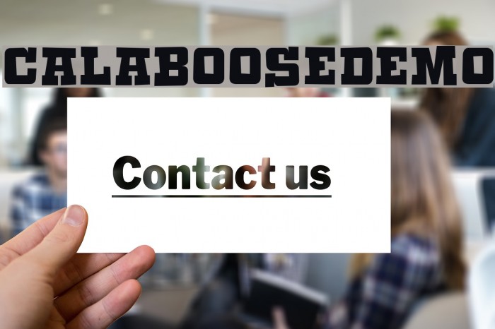 CalabooseDEMO Font examples