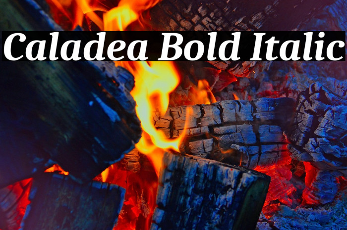 Caladea Bold Italic Font examples