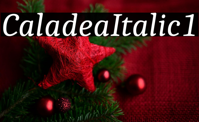 Caladea Italic1 Example 1