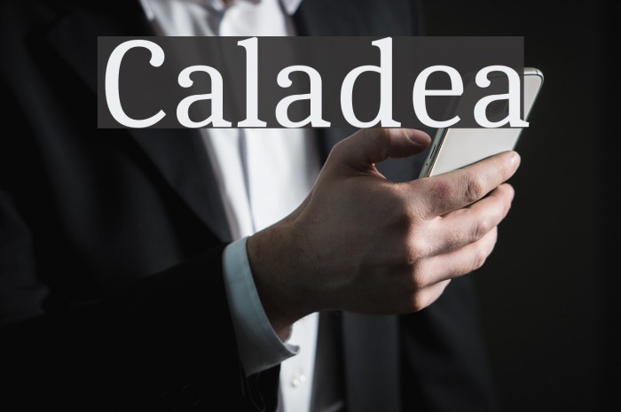 Caladea Font examples