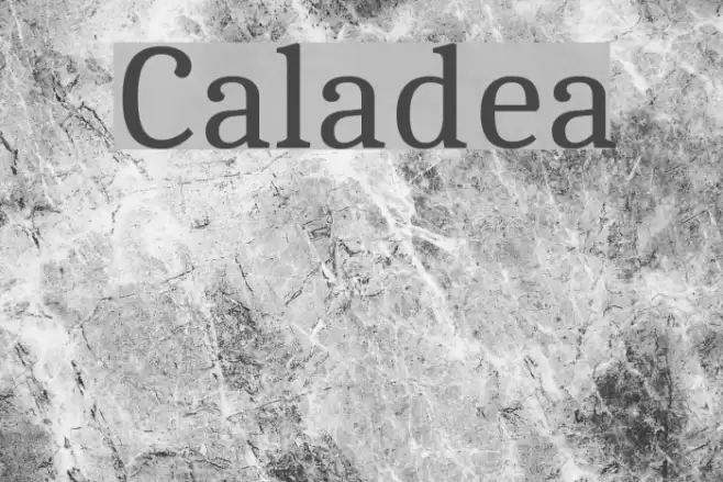 Caladea Font examples