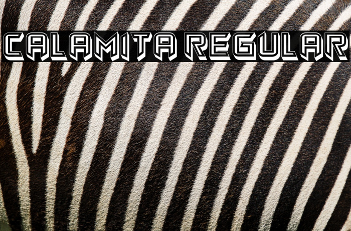 Calamita Regular Example 1