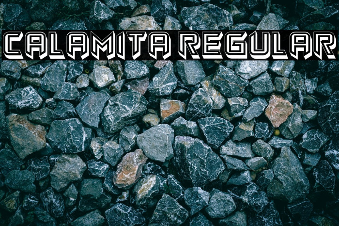 Calamita Regular Example 3