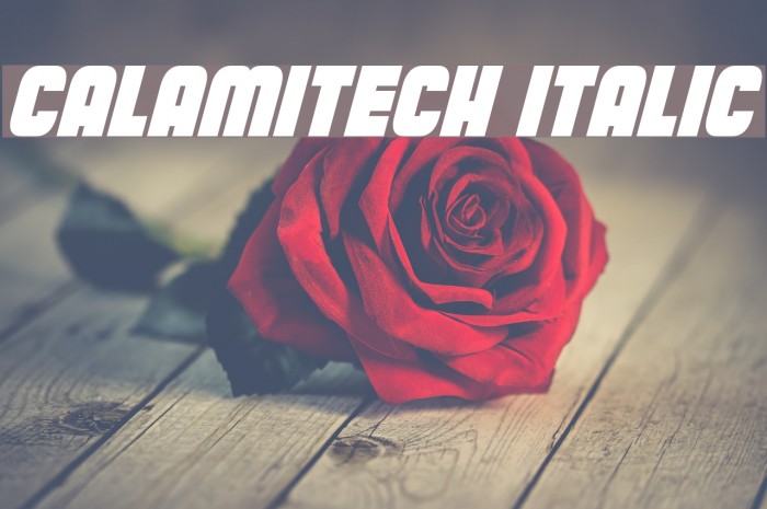 Calamitech Italic Font examples