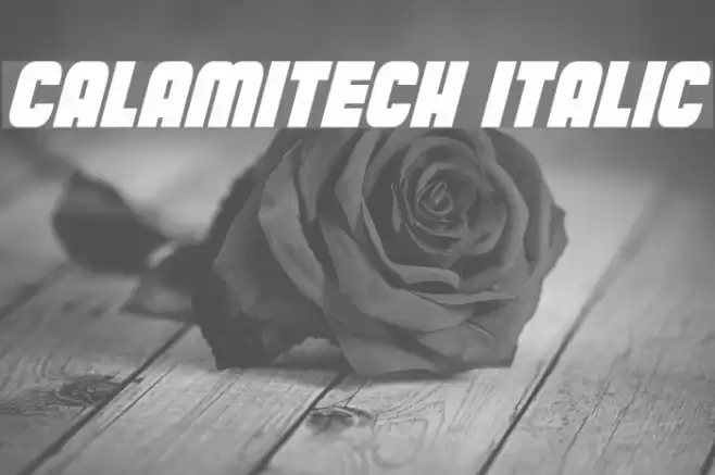 Calamitech Italic Font examples