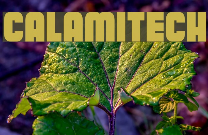 Calamitech Font examples