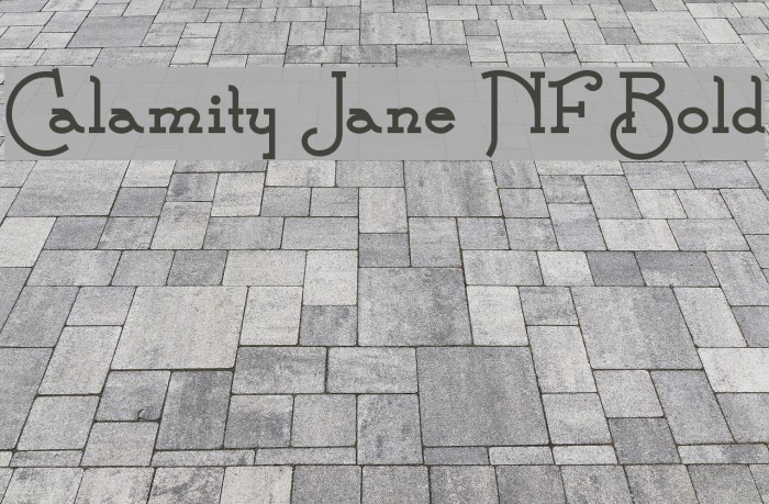 Calamity Jane NF Bold Font examples