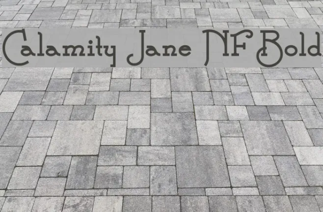 Calamity Jane NF Bold Example 1