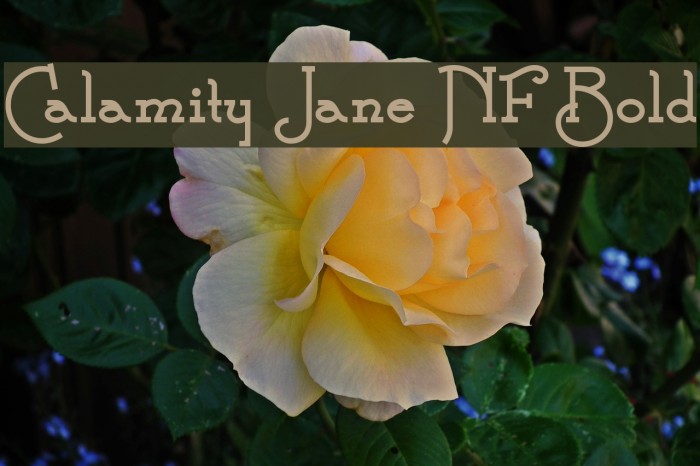 Calamity Jane NF Bold Font examples