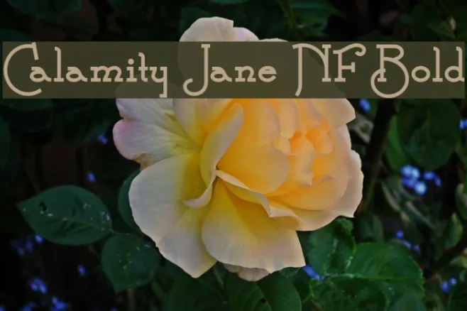 Calamity Jane NF Bold Example 2