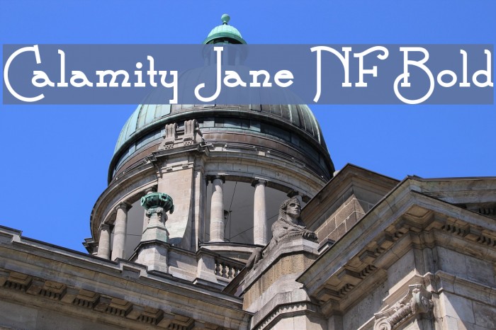 Calamity Jane NF Bold Font examples
