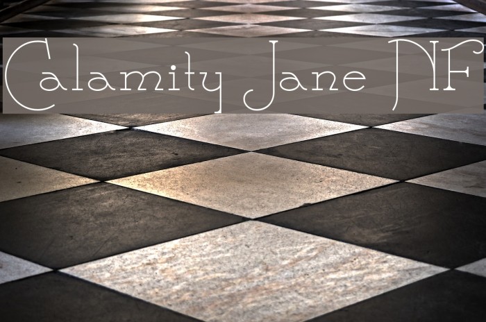 Calamity Jane NF Font examples