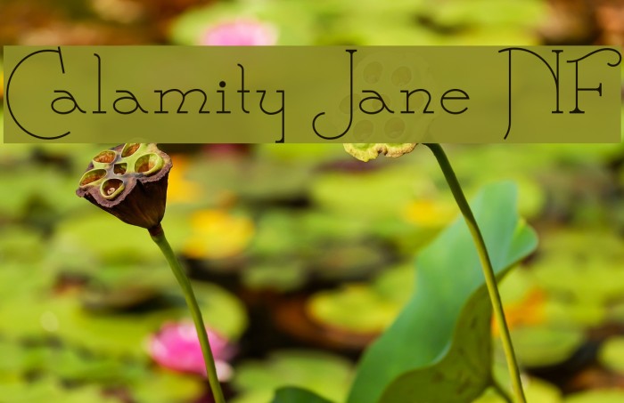 Calamity Jane NF Font examples
