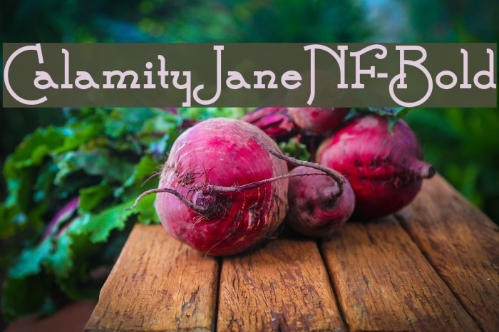CalamityJaneNF-Bold Font examples
