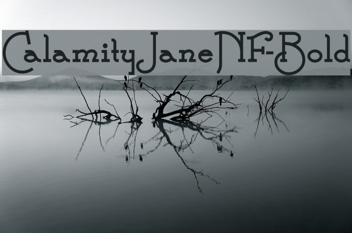 CalamityJaneNF-Bold Font examples