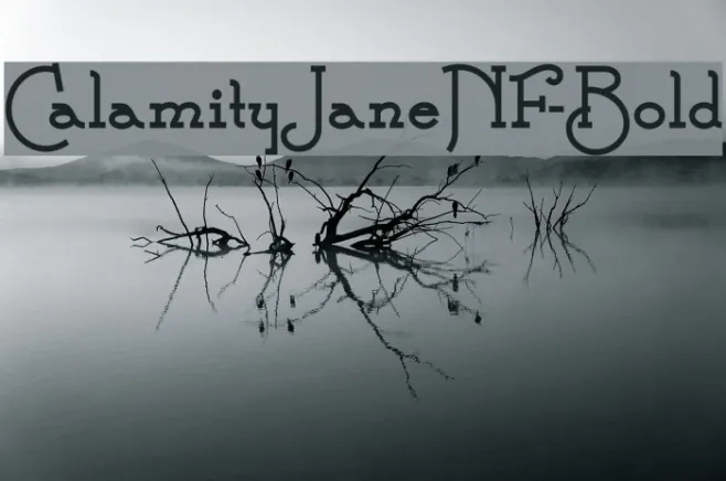 CalamityJaneNF-Bold Example 2