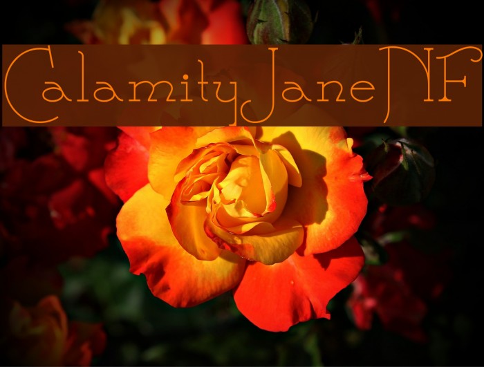 CalamityJaneNF Font examples