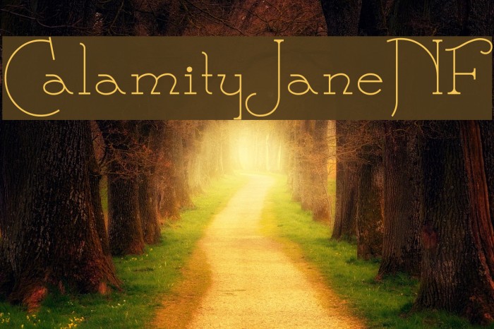 CalamityJaneNF Font examples
