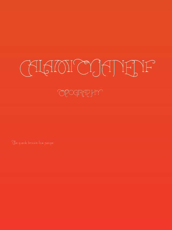 CalamityJaneNF Poster