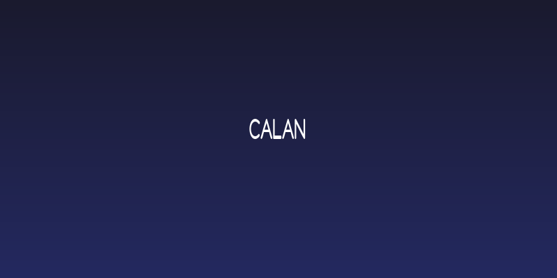 Calan Social Header