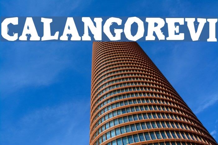 CalangoRevi Example 1